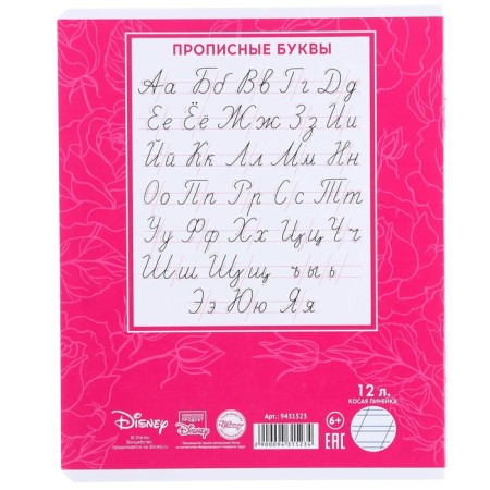 Notebook in a slanting ruler of 12 sheets, 5 types of mix, cover coated cardboard, cats aristocrats-10