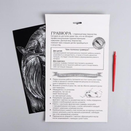 Engraving "horse" with a metallic effect "silver" A4-4