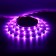 Smart LED strip Nitebird, 12V, SMD5050, 30 LED/m, 5 m, IP20, Wi-Fi, RGB