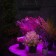 LED phyto -light, 50 W, 200 mm, IP20, 265 V, full -spectral