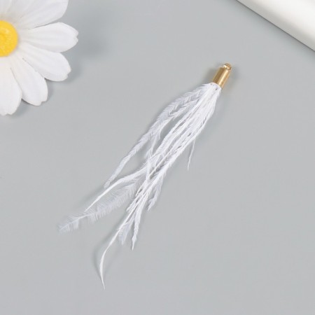 Decor for creativity Pen "Brush Ostrus" set 2 pcs white 9x0.5 cm-1