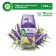 Frifting balloon Airwick Freshmatic Pure "Wood Patchouli and Eucalyptus", 250 ml