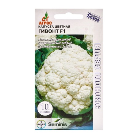 Cabbage Cabbage Seeds "Givont" F1 10pcs* Economy Seminis