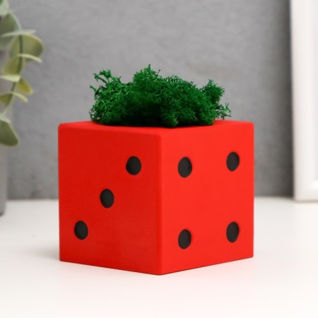 Concrete Kashpo "Player bone" with Moss red with black 7x7x7 cm (moss green stabilizir)-1