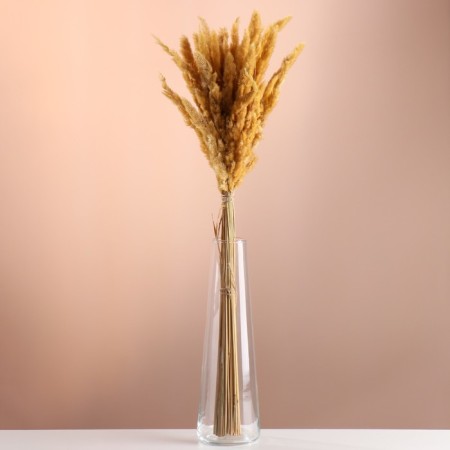 Set of dried flowers "Weinik", banch length 60 (+/- 6 cm), natural