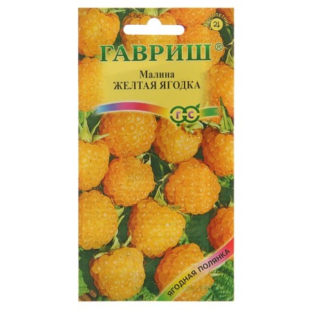 Raspberry seeds "Yellow Berry", 10 pcs