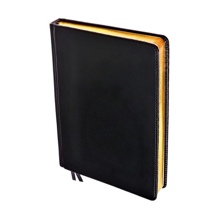 Dated diary 2024, A5, 168 sheets in the ruler, the leatherette "Nebraska", gold cut, black-2