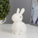 Night -bearing "Bunny" LED from 3xlr44 batteries is white 8x11x14 cm