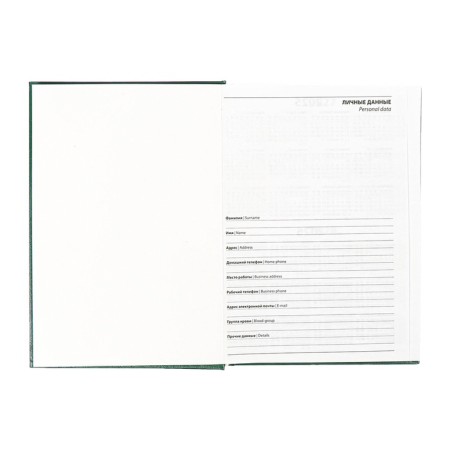 Dated diary of 2025, A5, 168 sheets, boumvinyl, dark green-4