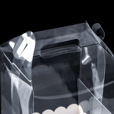 PVC Botto-Torte box 16 x 16 x 18 cm-2