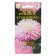 Flowers of Astra "Rush Sun", 0, 2 g