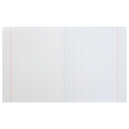 Notebook of 12 sheets in the large Calligrata "Five", cover colested cardboard, VD-psy, OFSET BOLK, Belility 95%, MIX-1