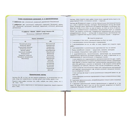 The universal diary for grades 1-11 is an excellent student, a solid cover made of artificial leather, silkography, lies, 48 ​​sheets, light green-11