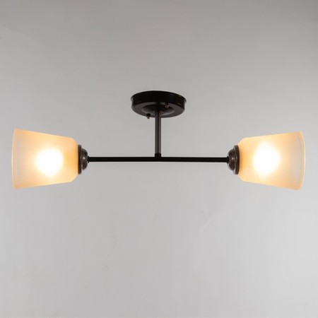 Luer "Ray" (cylinder) 2x15W E27 Model: BR 00245 Black/Transparent-1