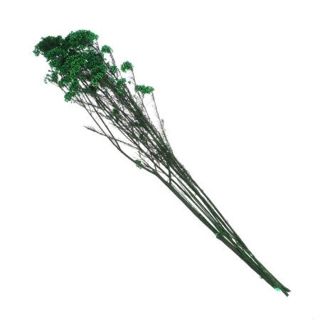 Sukhotzet "Ozotamnus" 60 g, the color is dark green-2