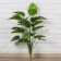 Artificial Lyrata bush 70 cm
