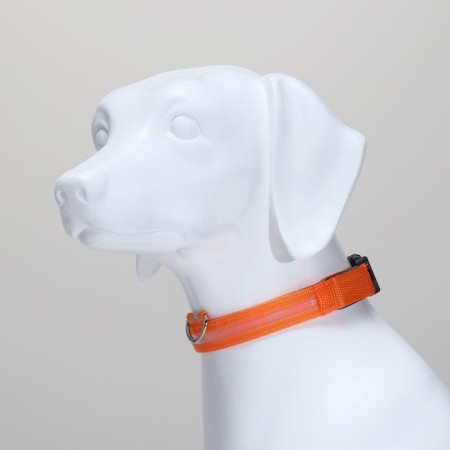 Collar with backlight size L, Osh 45-52 x 2.5 cm, 3 lumines of the glow orange-9