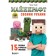 DIY minecraft. 15 funny and simple projects. Knight Choli