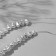 Plastic beads on the threads "Pearls" 1 × 0.7 × 0.3 cm, (set of 110 beads), white color