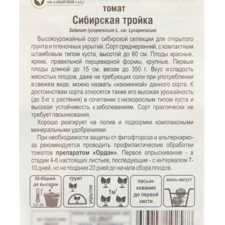 Siberian Troika Tomat seeds, mid -season, 20 pcs-2