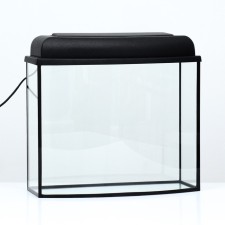 Aquarium 