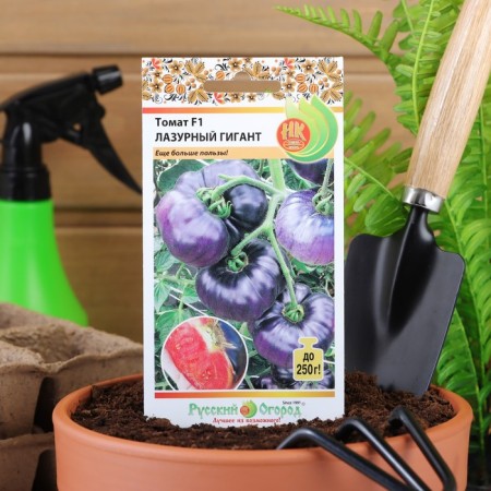 Seed Tomat "Cote d'Azur, F1, 10 pcs-2