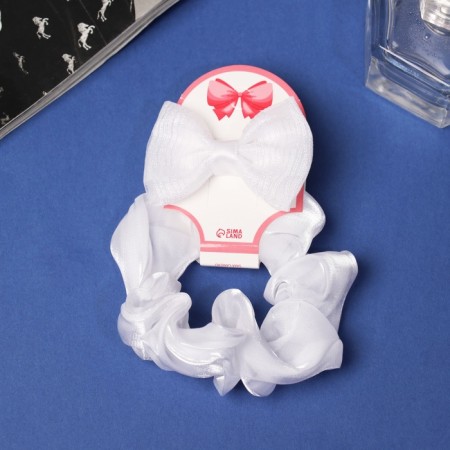 Hair set "Schoolgirl" (elastic band 10 cm, clamp 6.5 cm) stripes, white