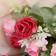 Bouquet "Rose Coleman" 4x29 cm, mix