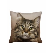 Decorative pillow on the sofa 