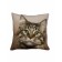 Decorative pillow on the sofa "Cat Machun", size 40x40 cm