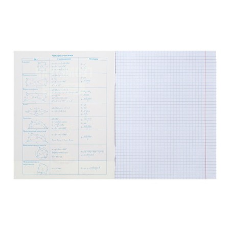 A notebook "Notebook", 48 sheets in the "Geometry" cage, cover coated cardboard, selective varnish, with reference material-1