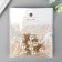Decor for creativity plastic "Pearl with crown and loop" set 10 pcs d = 1 cm