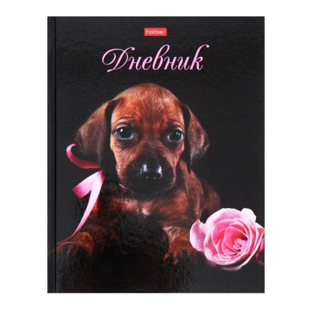 Universal diary for grades 1-11 I am looking for a mistress, hard cover, glossy lamination, 40 sheets