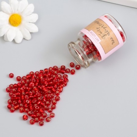 Round beads 6/0 in the bottle "Red" transparent-color 2x20 g set 2 pcs-1