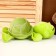 Soft toy "Turtle"