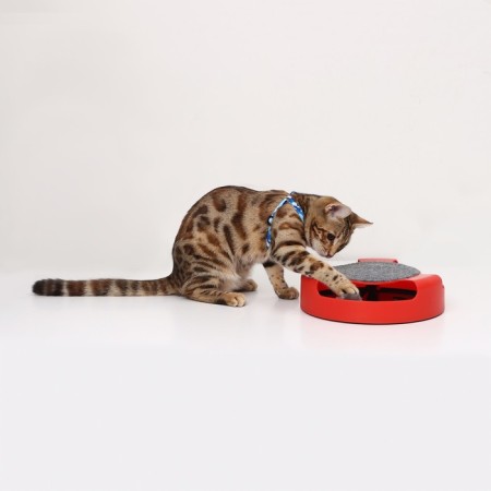 Game complex "Piggon" with a mobile mouse, red-1