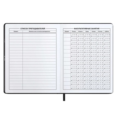 School diary for grades 1-11, solid cover, artificial leather, software, silkography, keychain, lies, 48 ​​sheets, universal cheat sheet, block 80g/m2, black-5