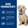 Hill Prescription Diet W/D Hill Presscription for Dogs, weight support, with chicken, 370g