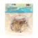 Allium Luke decorative ambassador, 24/28, 1 pc, autumn 2024