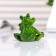 Souvenir Polystone Lac "Frog rest" MIX 3.5x6x5 cm