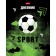 Universal diary for grades 1-11 "World of Football", hard cover, glossy lamination, 40 sheets