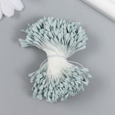 Stamens for flowers 