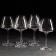 Set of glasses for wine Corvus, 350 ml, 6 pcs