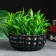 Figure pot "Sot" 0.8 l/ 16.5x16.5 cm black