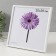 Photo frame plastic LIDA 20x20 cm white