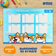 Расписание уроков «Корги Джекки» А3