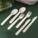 A set of cutlery for 2 people, 6 items: 2 forks, 2 spoons, 2 knives, beige color