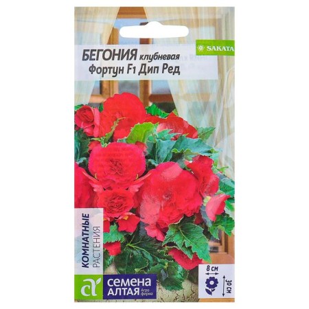 Seeds of indoor flowers begonia "DIP Red", 5 pcs.