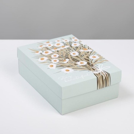 Gift folding box, packaging, "chamomile", 21 x 15 x 7 cm-1