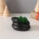 Souvenir mini "snake" twisted with moss 4*7*4 cm black (moss is green stabil)